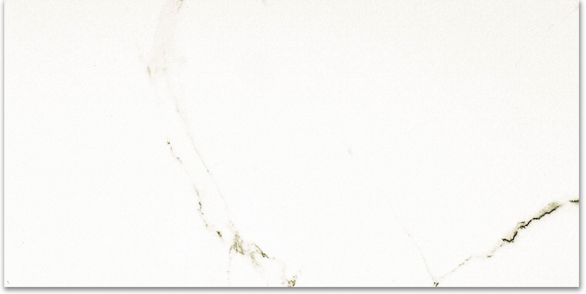 Polished Adoration 24X48 | Clon Digital Tile Catalog