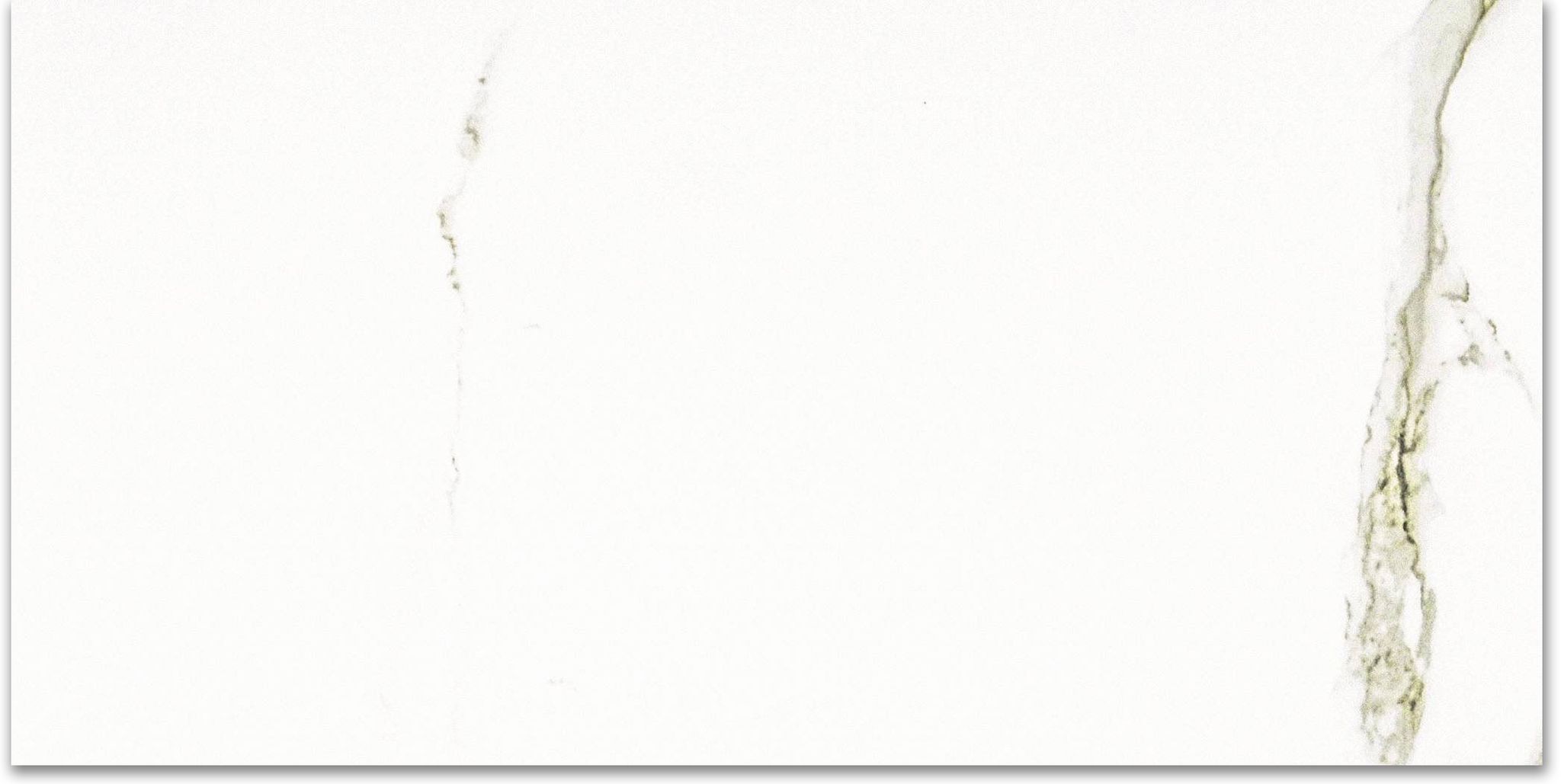 Polished Adoration 24X48 | Clon Digital Tile Catalog