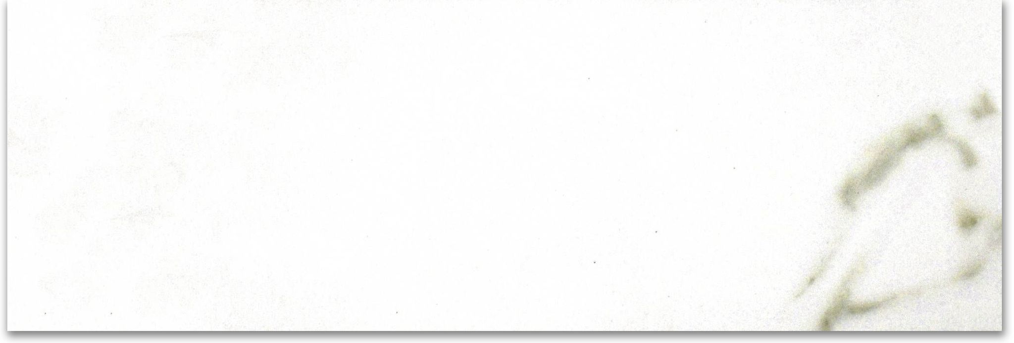 Polished Adoration 4X12 | Clon Digital Tile Catalog