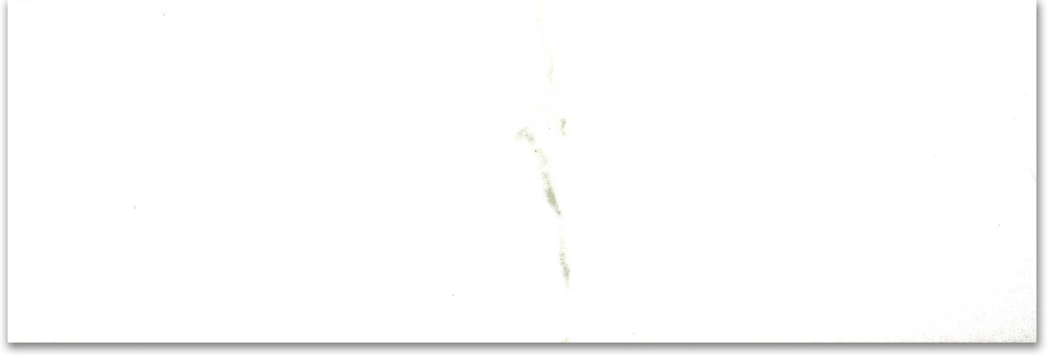 Polished Adoration 4X12 | Clon Digital Tile Catalog