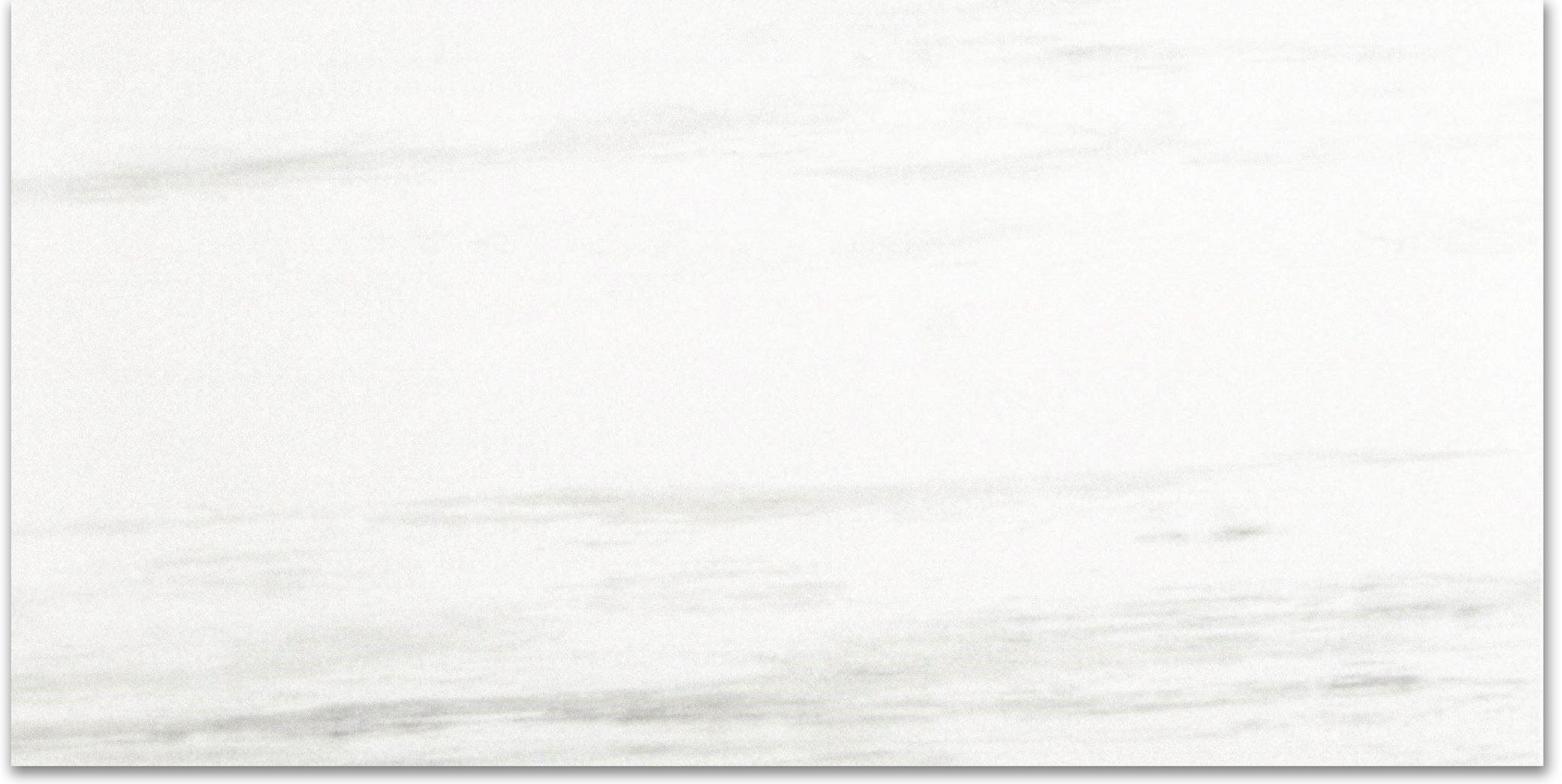 Polished Devotion 12X24 | Clon Digital Tile Catalog