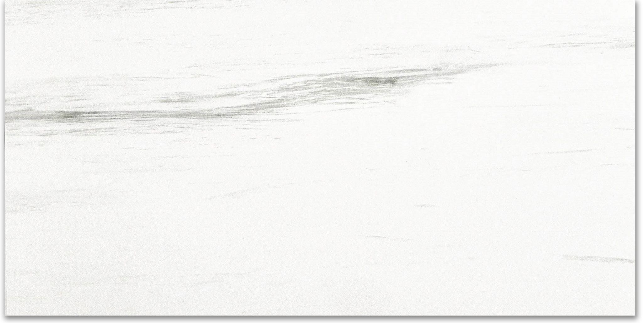 Polished Devotion 12X24 | Clon Digital Tile Catalog