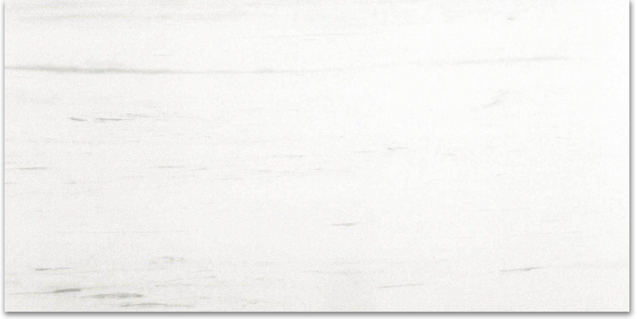 Polished Devotion 12X24 | Clon Digital Tile Catalog