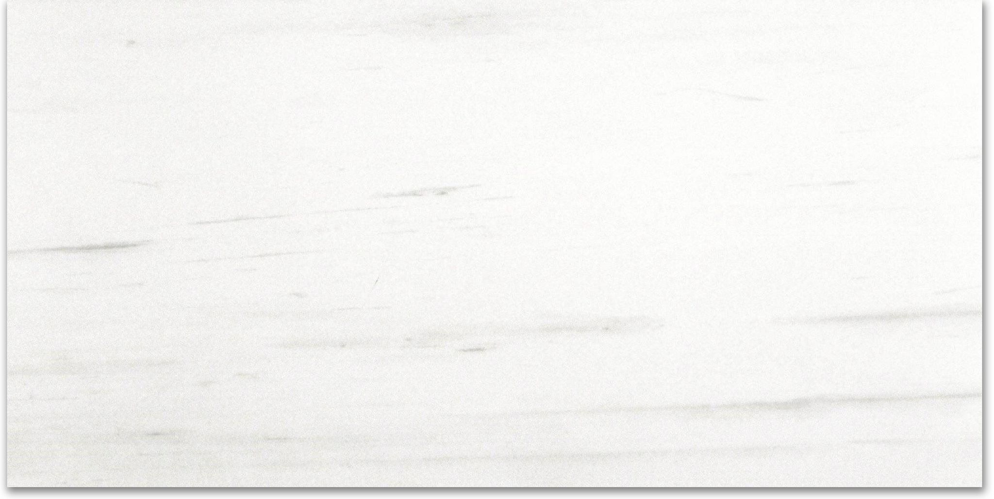 Polished Devotion 24X48 | Clon Digital Tile Catalog