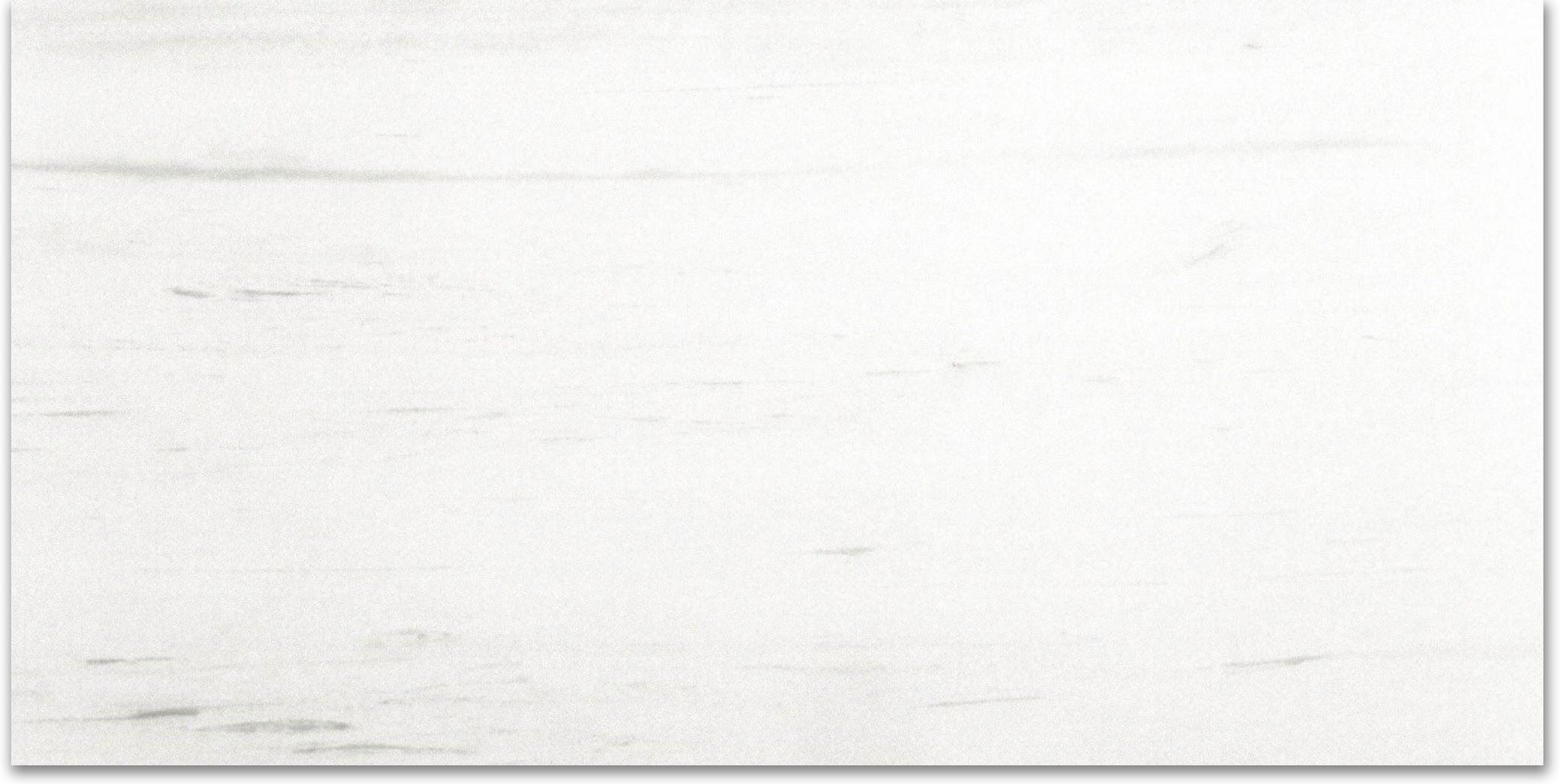 Polished Devotion 24X48 | Clon Digital Tile Catalog