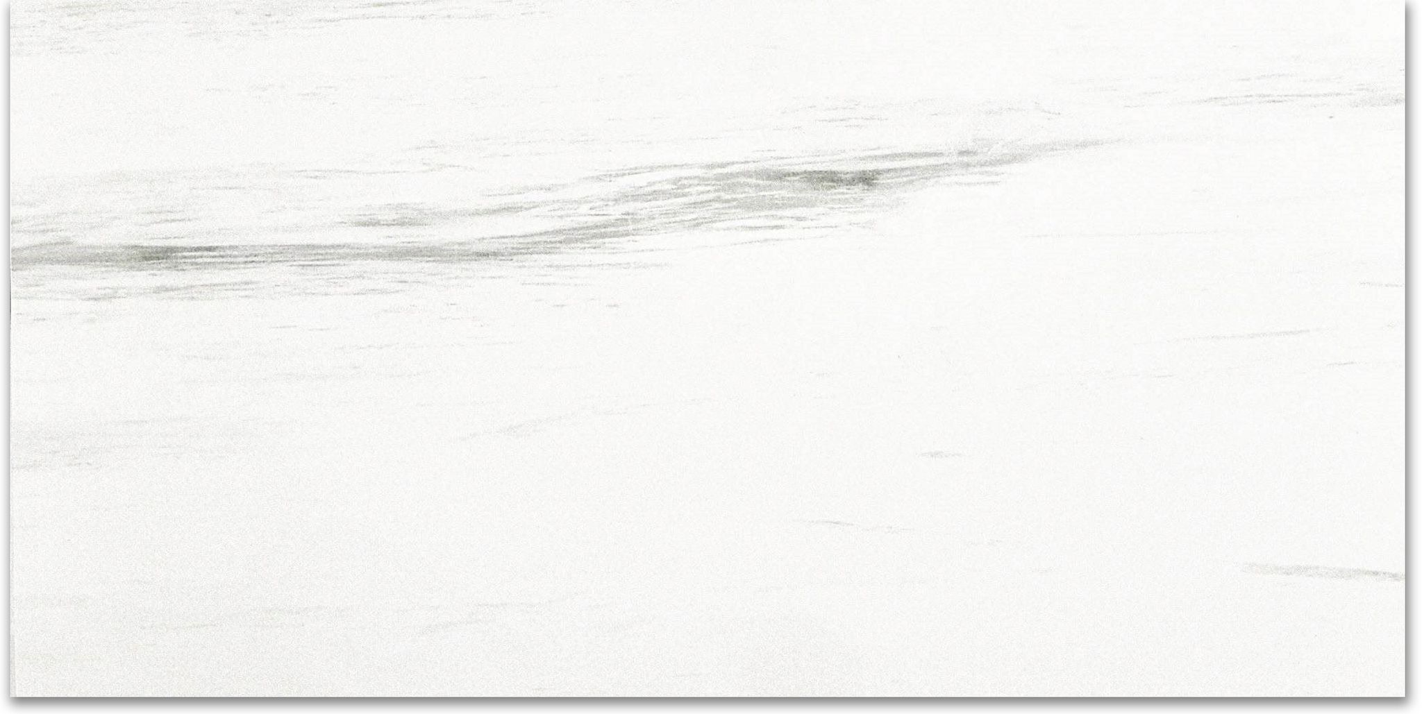 Polished Devotion 24X48 | Clon Digital Tile Catalog