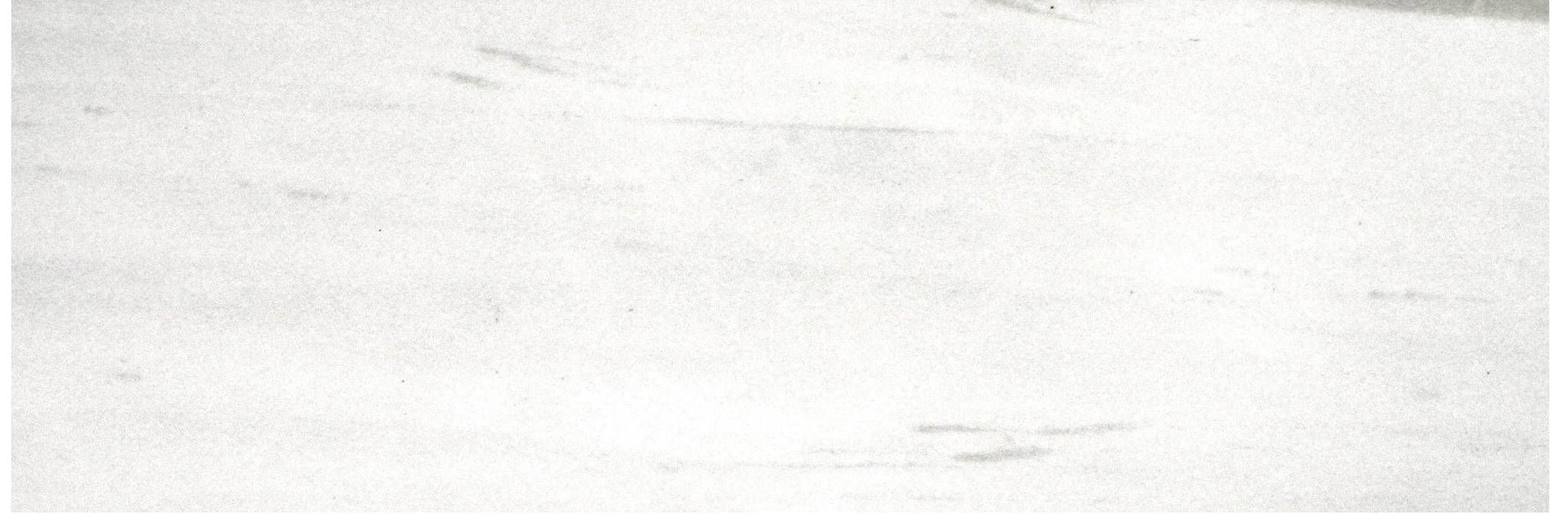 Polished Devotion 4X12 | Clon Digital Tile Catalog