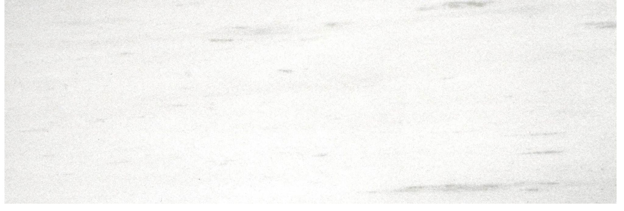 Polished Devotion 4X12 | Clon Digital Tile Catalog