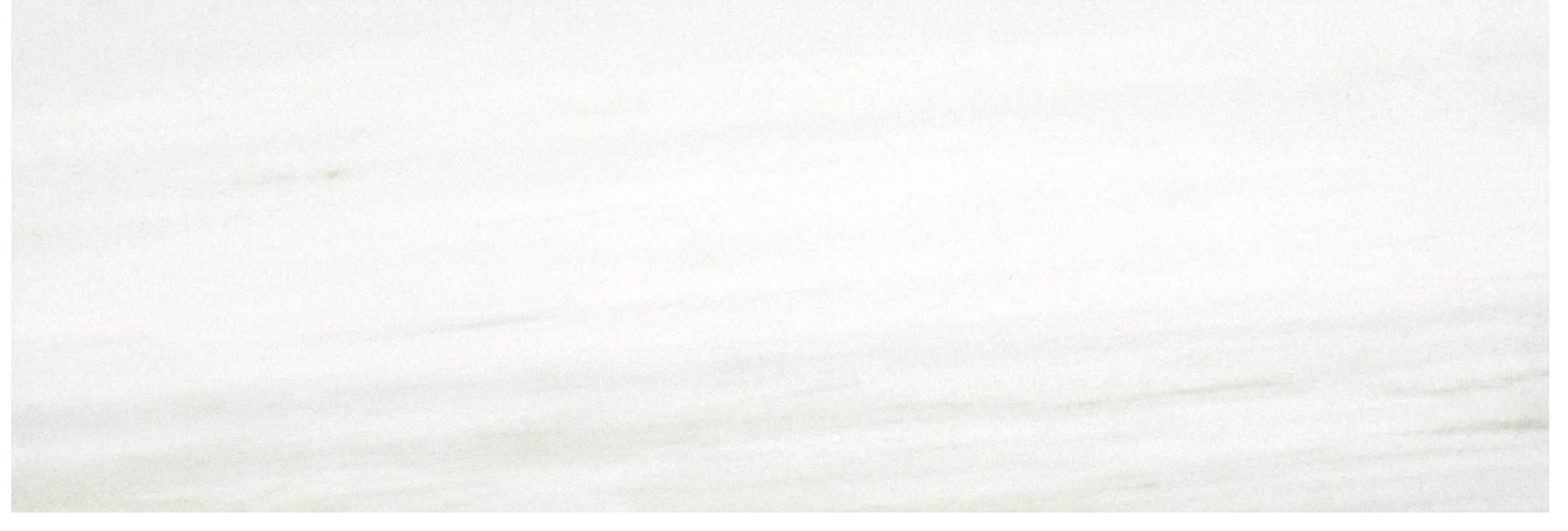 Polished Devotion 4X12 | Clon Digital Tile Catalog