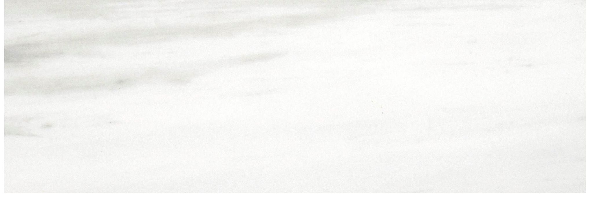 Polished Devotion 4X12 | Clon Digital Tile Catalog