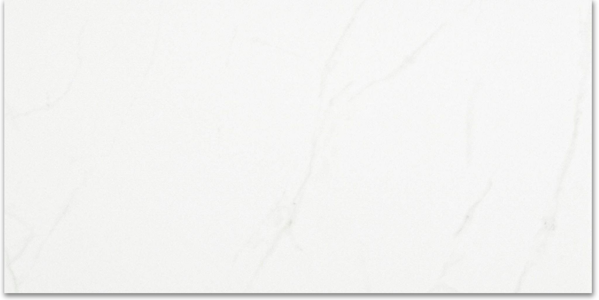 Polished Love 12X24 | Clon Digital Tile Catalog