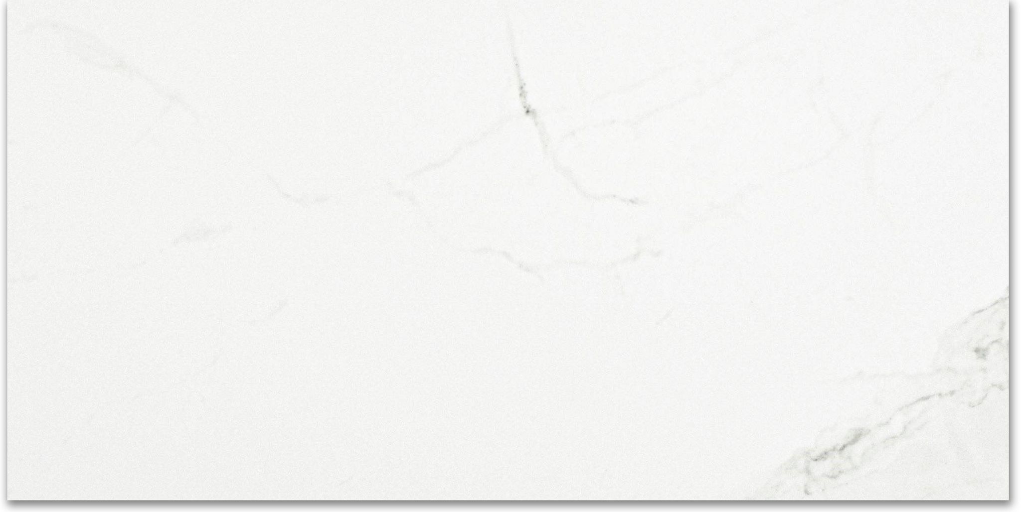 Polished Love 12X24 | Clon Digital Tile Catalog