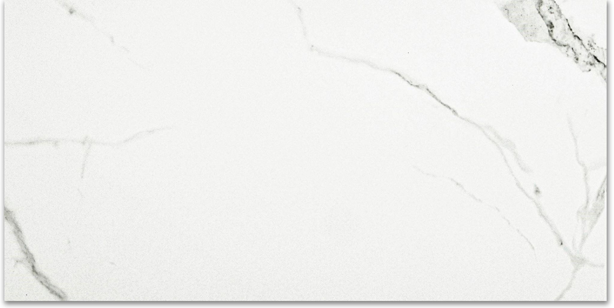 Polished Love 12X24 | Clon Digital Tile Catalog