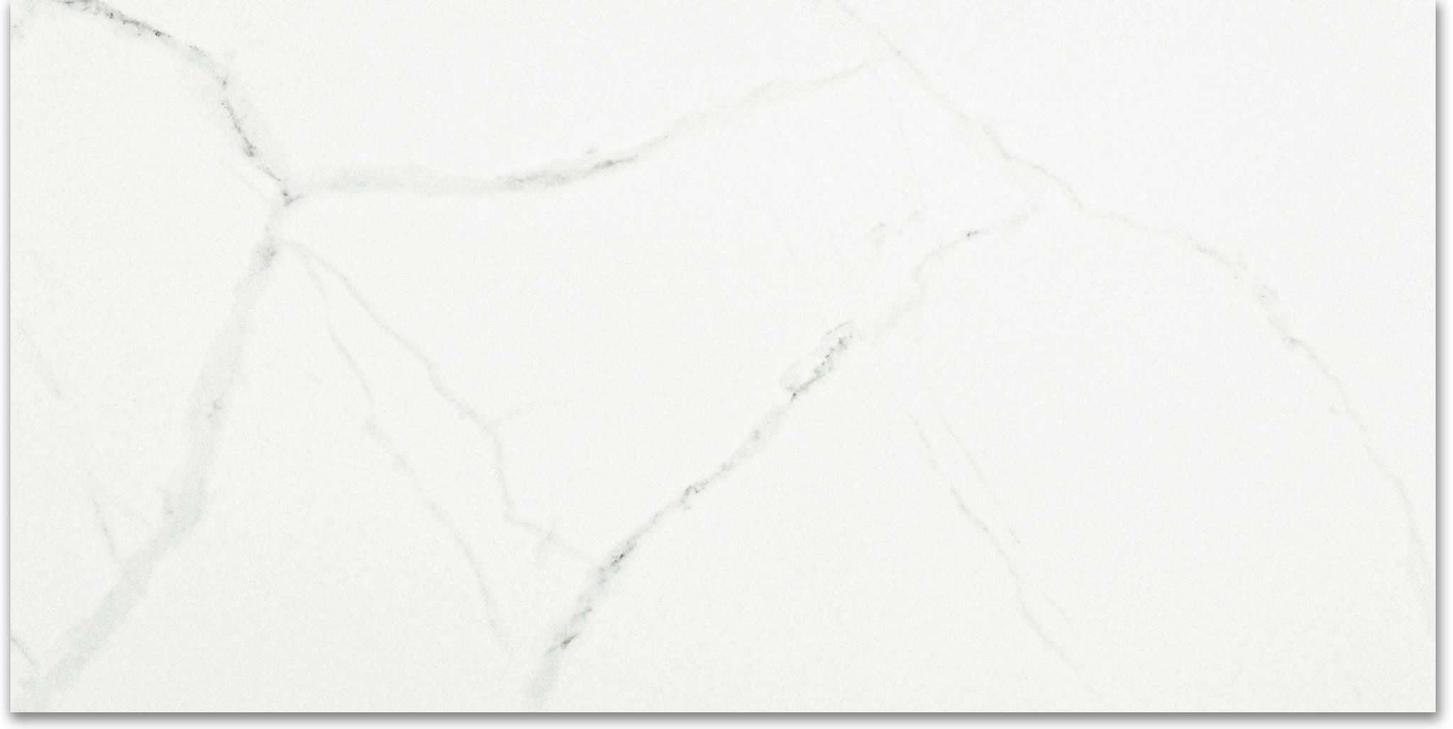 Polished Love 12X24 | Clon Digital Tile Catalog