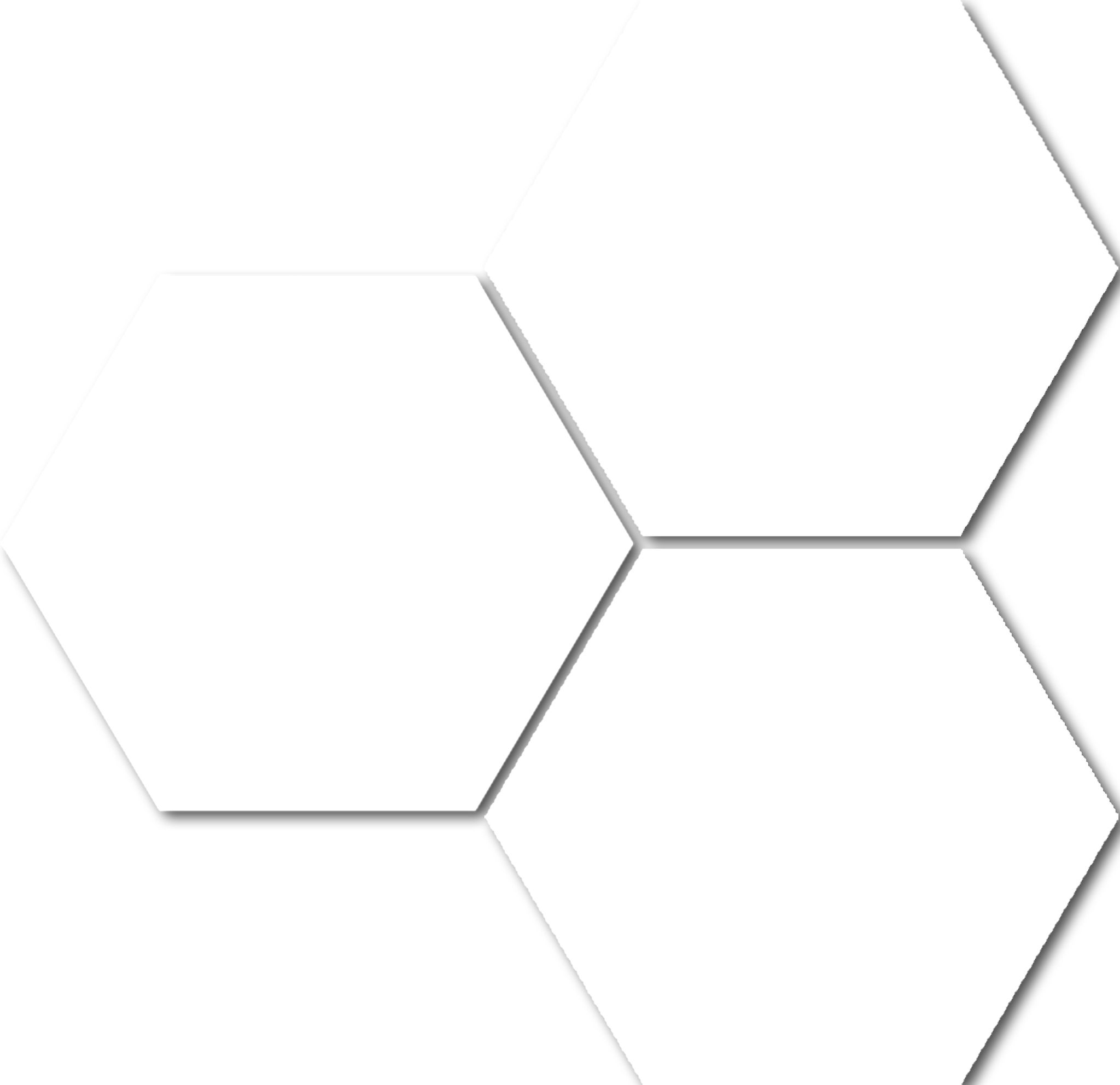 Treasure Ultimate Dolomite 6" Carved Hexagon | Clon Digital Tile Catalog