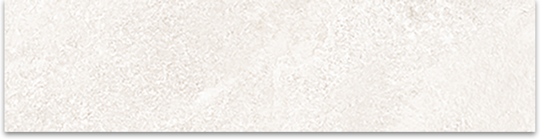 Denver White 3x12 Bullnose | Clon Digital Tile Catalog