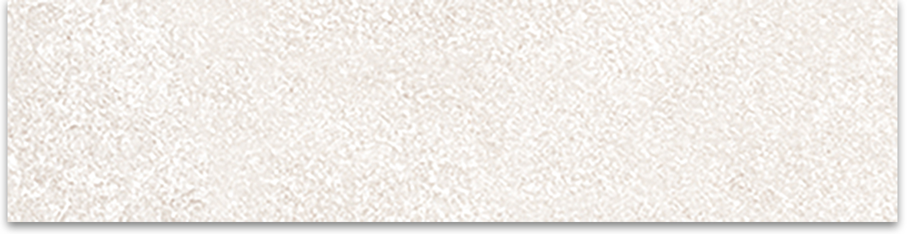Denver White 3x12 Bullnose | Clon Digital Tile Catalog