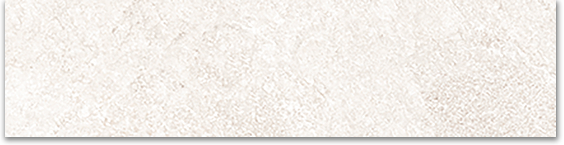 Denver White 3x12 Bullnose | Clon Digital Tile Catalog