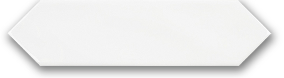 Fence Field Tile 3” X 12” Gloss Gleam | Clon Digital Tile Catalog