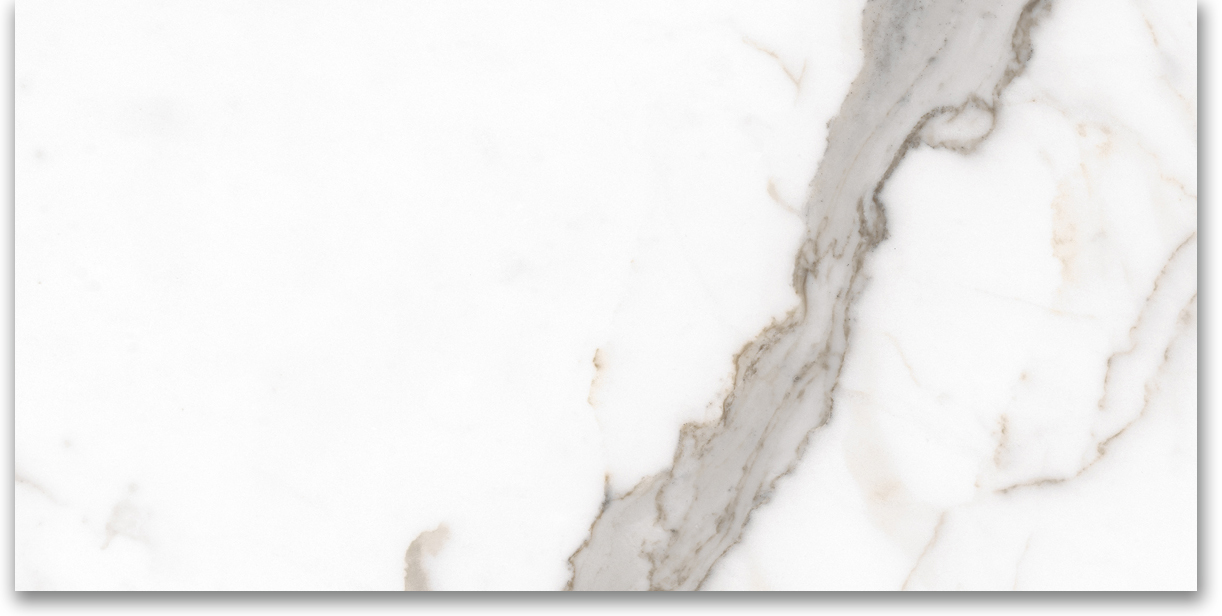 12X24 Matte Amore Grey | Clon Digital Tile Catalog