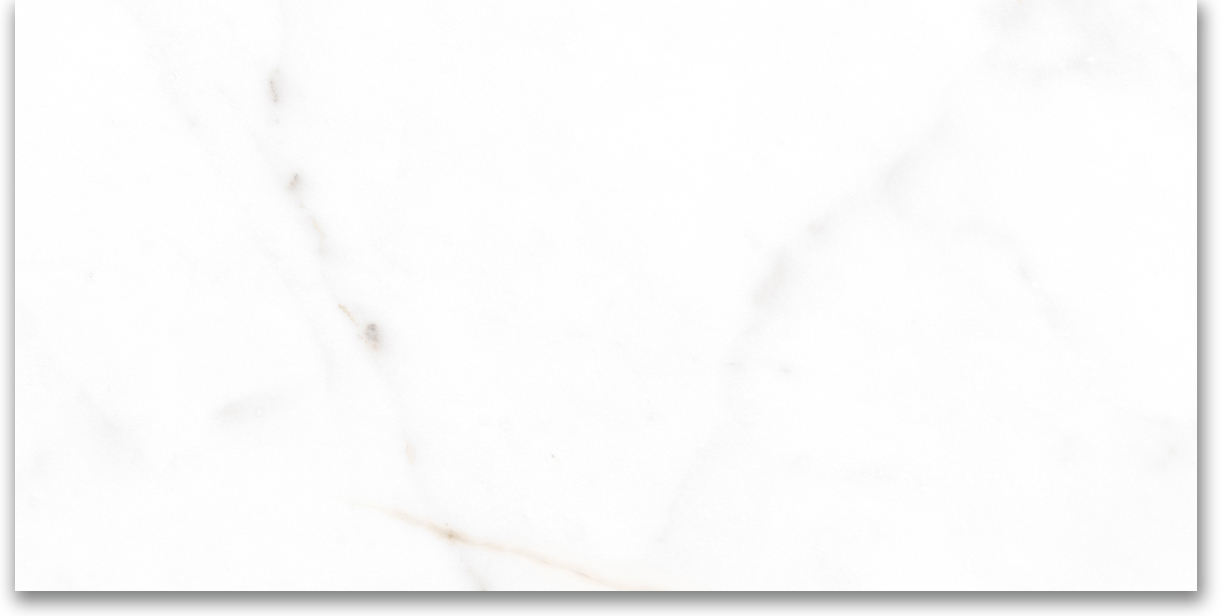 12X24 Matte Amore Grey | Clon Digital Tile Catalog