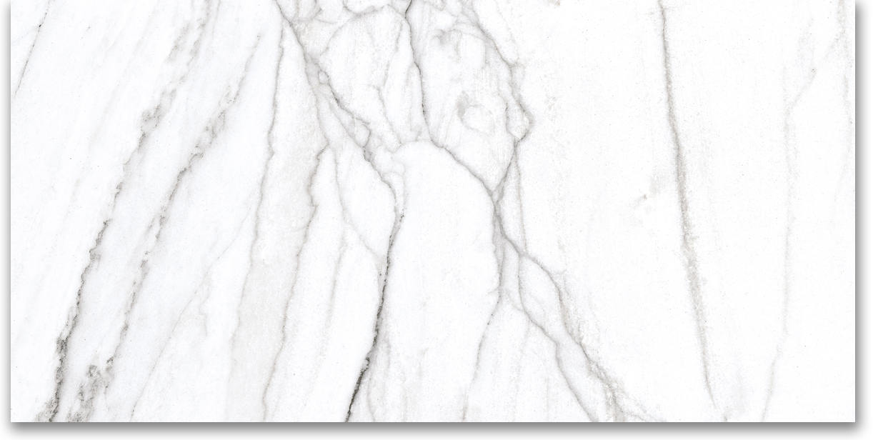 12X24 Matte Glamour White | Clon Digital Tile Catalog