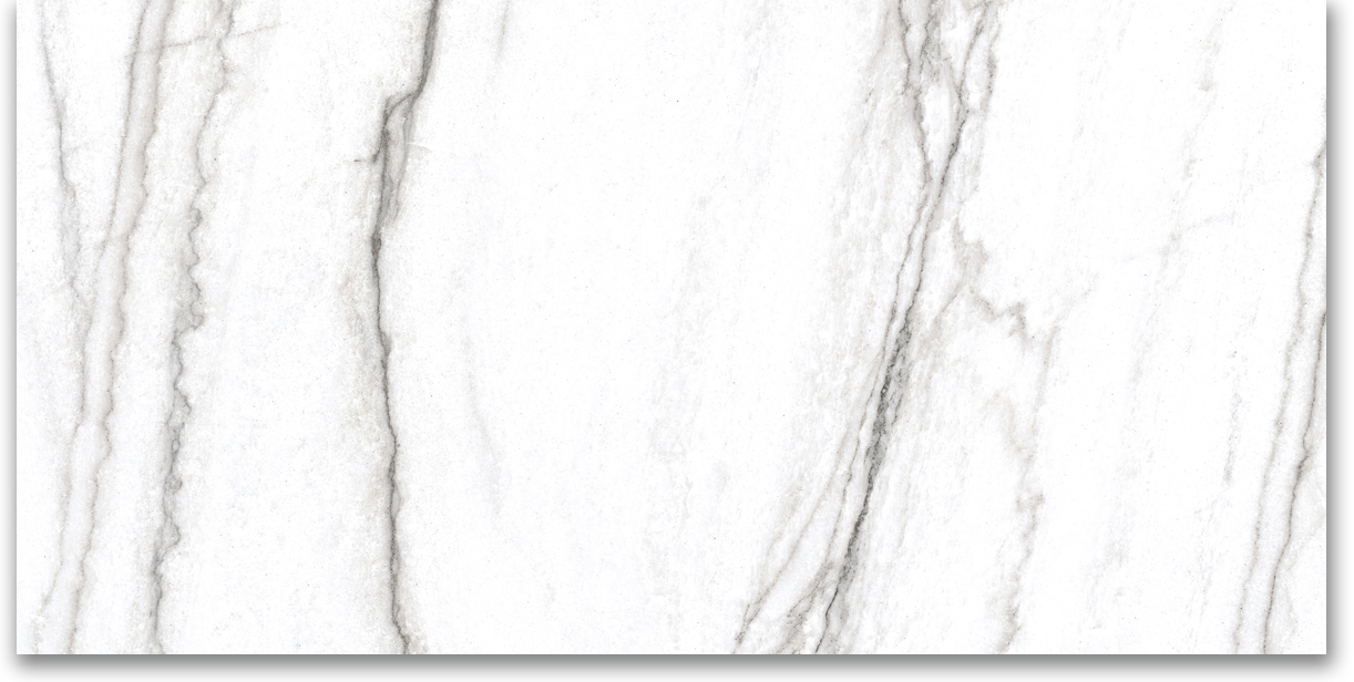 12X24 Matte Glamour White | Clon Digital Tile Catalog