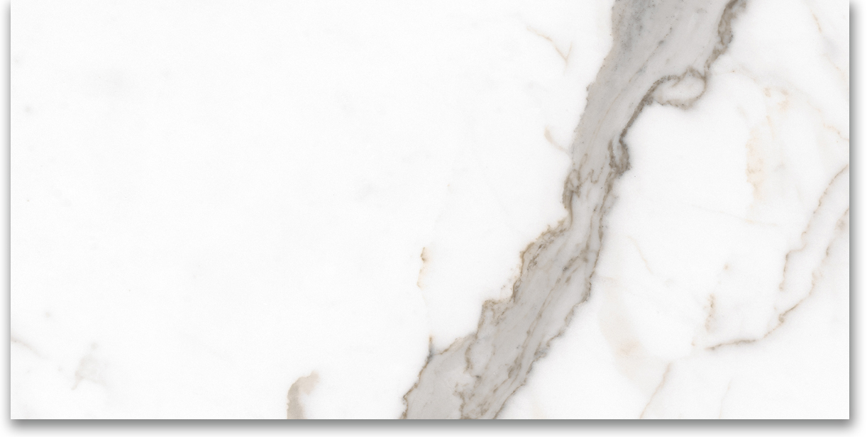 12X24 Polished Amore Grey | Clon Digital Tile Catalog