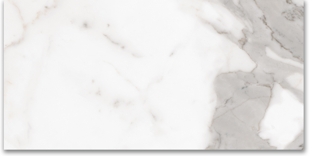 12X24 Polished Amore Grey | Clon Digital Tile Catalog