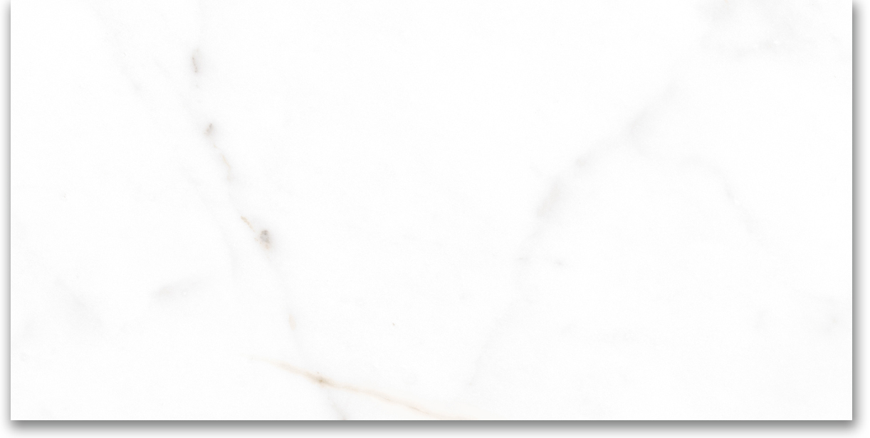 12X24 Polished Amore Grey | Clon Digital Tile Catalog