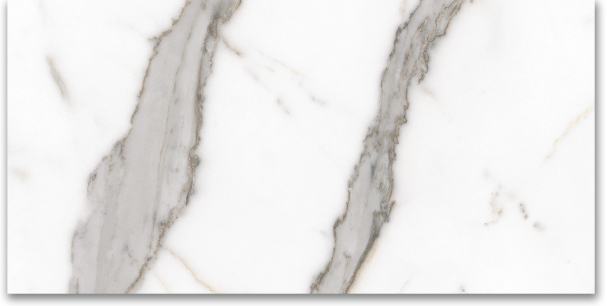12X24 Polished Amore Grey | Clon Digital Tile Catalog