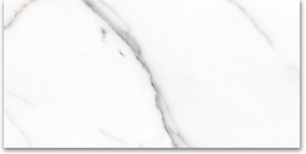 12X24 Polished Amore Grey | Clon Digital Tile Catalog