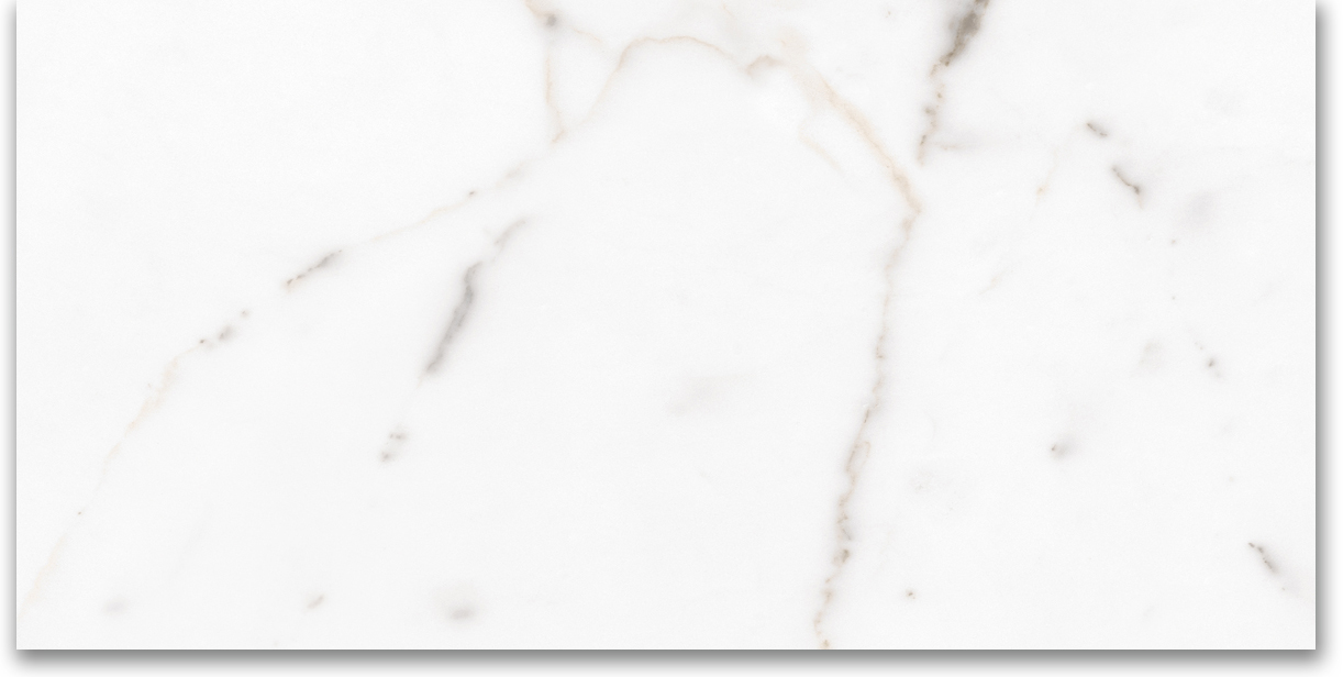 12X24 Polished Amore Grey | Clon Digital Tile Catalog