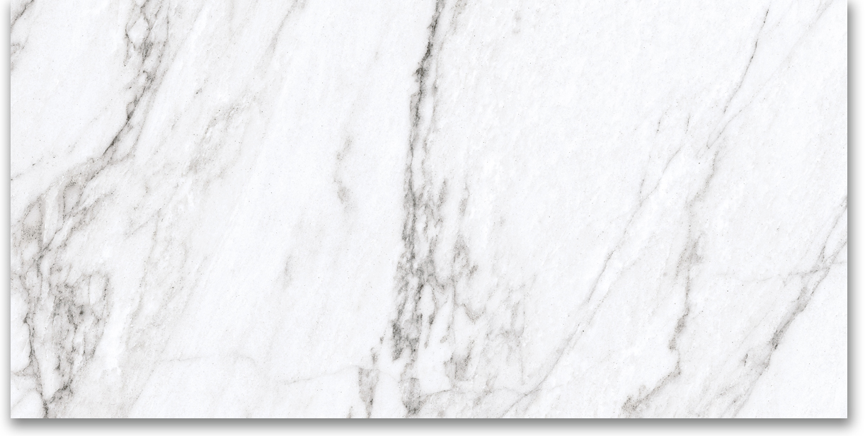 12X24 Polished Glamour White | Clon Digital Tile Catalog