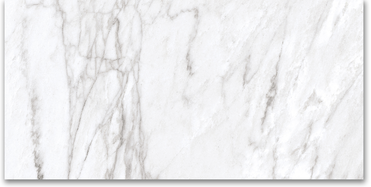 12X24 Polished Glamour White | Clon Digital Tile Catalog