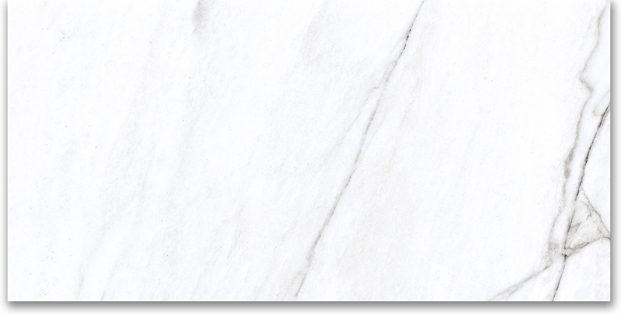 12X24 Polished Glamour White | Clon Digital Tile Catalog