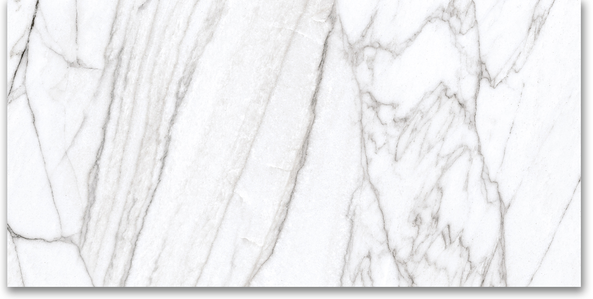 12X24 Polished Glamour White | Clon Digital Tile Catalog