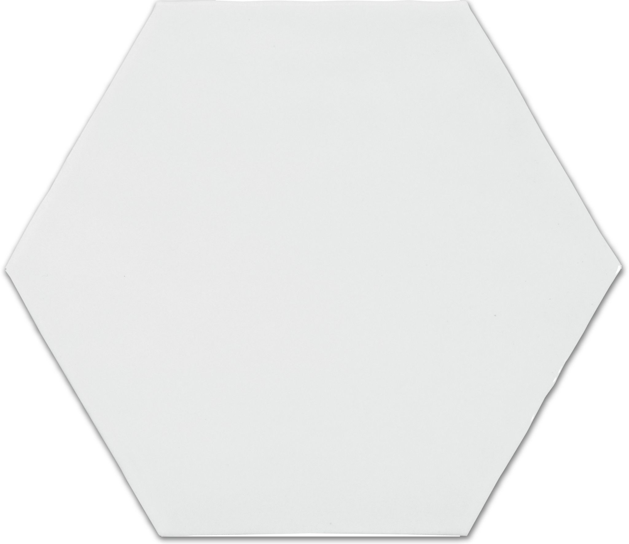 6" Bray Powder Glossy Hexagon | Clon Digital Tile Catalog