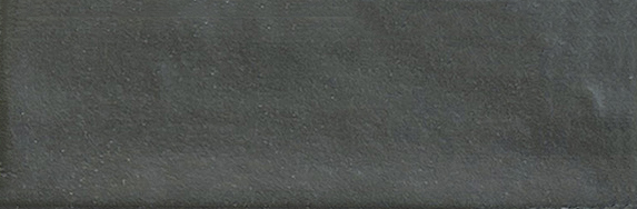 Aruba Coal Matt 2x6 | Clon Digital Tile Catalog