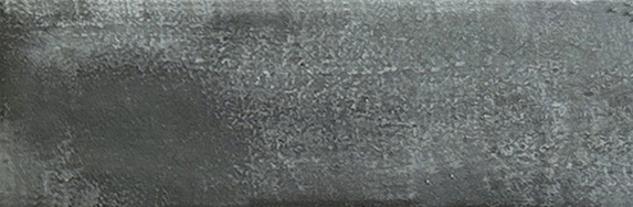 Aruba Coal Matt 2x6 | Clon Digital Tile Catalog