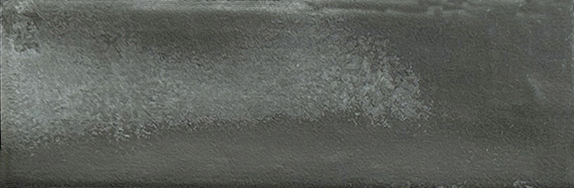 Aruba Coal Matt 2x6 | Clon Digital Tile Catalog