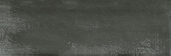 Aruba Coal Matt 2x6 | Clon Digital Tile Catalog
