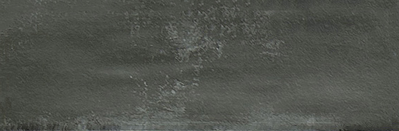 Aruba Coal Matt 2x6 | Clon Digital Tile Catalog