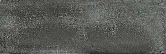 Aruba Coal Matt 2x6 | Clon Digital Tile Catalog