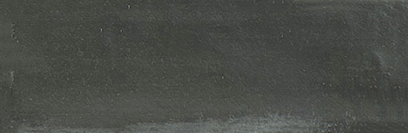 Aruba Coal Matt 2x6 | Clon Digital Tile Catalog