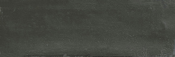 Aruba Coal Matt 2x6 | Clon Digital Tile Catalog