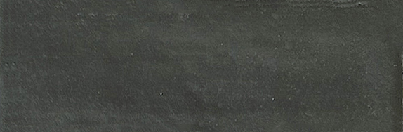 Aruba Coal Matt 2x6 | Clon Digital Tile Catalog