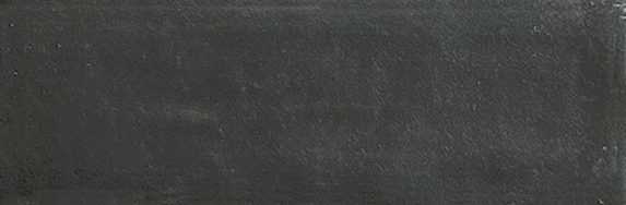 Aruba Coal Matt 2x6 | Clon Digital Tile Catalog