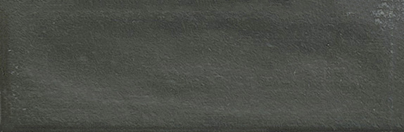 Aruba Coal Matt 2x6 | Clon Digital Tile Catalog