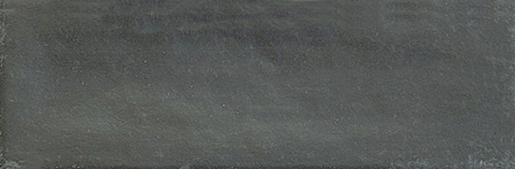 Aruba Coal Matt 2x6 | Clon Digital Tile Catalog